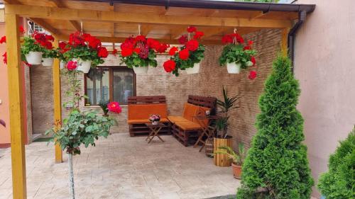 Orange House Constanta