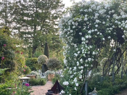 Les Jardins Haute Couture chambre d'hôte Rigny-Ussé