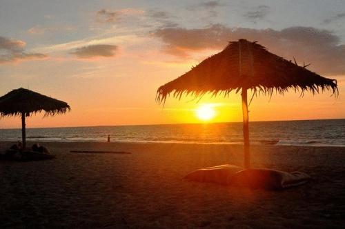 Hapla beach cottage photo