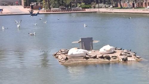 PARQUE DEL MEDITERRANEO, Málaga (photo 3)