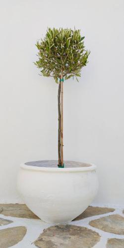 Hotel Aegeon - image 11