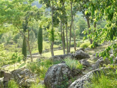 GITE LES GRANDES VIGNES, SUD Ardèche, indépendant et privatisé, piscine chauffée, climatisation, SPA, 11 chambres, 8 salles de bains