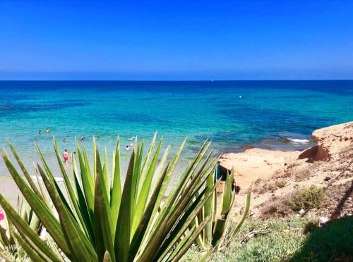 Sun And Beach Torre Horadada