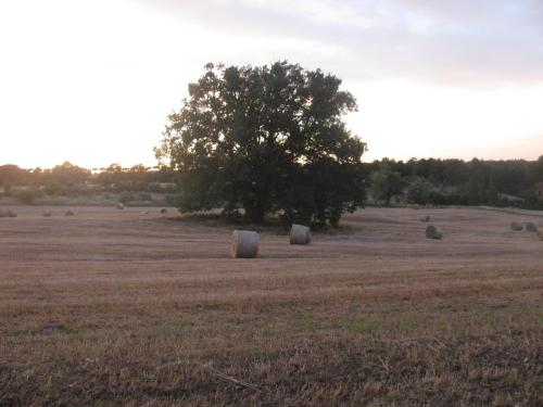 casavacanzetorresansevero