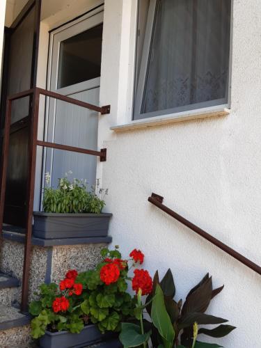 Appartement Ferienwohnung LANG