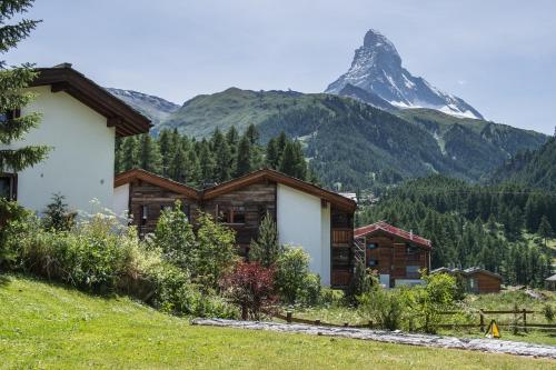 Casa Luna - image 7