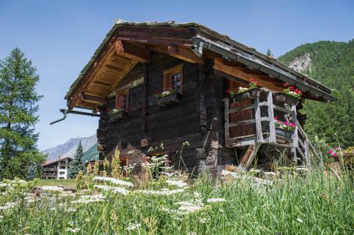 Casa Luna - image 2