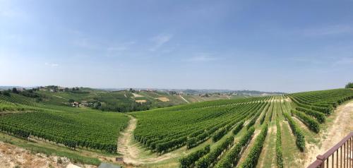 Agriturismo La Casa in Collina - image 11