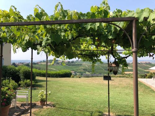 Agriturismo La Casa in Collina - image 6