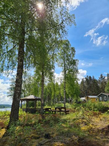 Björnbyn Stugby - main image