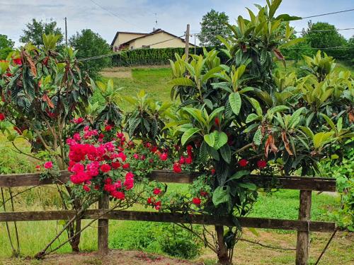 Giardino Dei Fiori