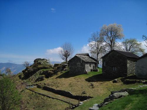 AGRITURISMO IL RUNCH DI MAJRANO LUCA