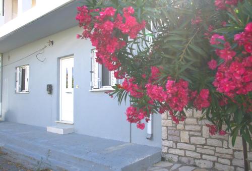 . Antonia's Rustic Retreat