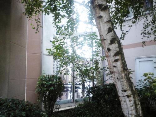 Good Night Hotel - image 12