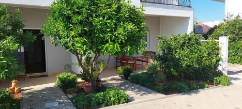  Apartments Vukman Okrug Donji in Okrug Donji