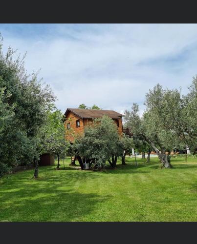 Palazzo Conforti Tree House Resort 5