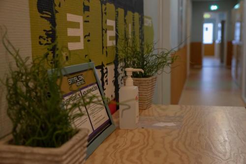 Simplon Hostel - image 8