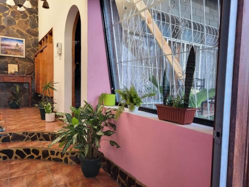Casa Flores in 埃雷迪亞