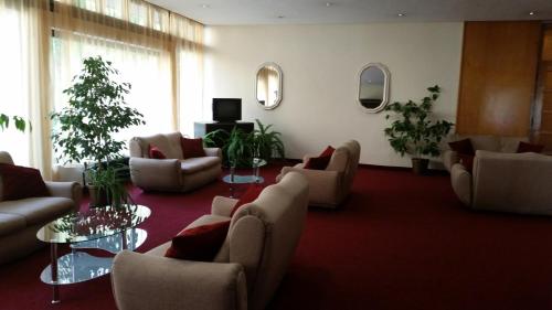 Hotel of Bulgarian Academy of Sciences, Sofia (foto 6)