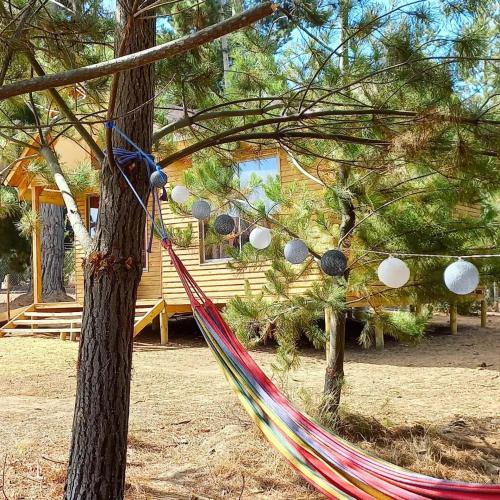 Cabañas VistaBosque de Algarrobo (Cabanas VistaBosque de Algarrobo) in อัลการ์โรโบ