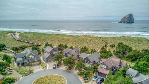 Dune Grass