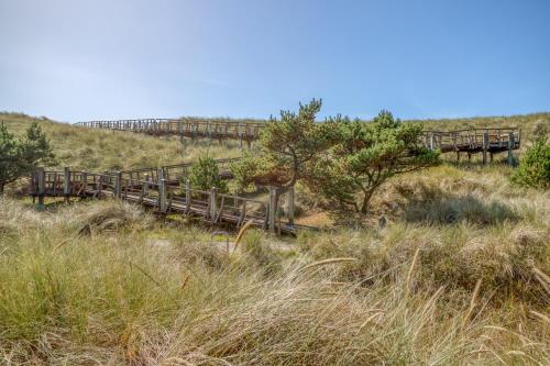 Dune Grass