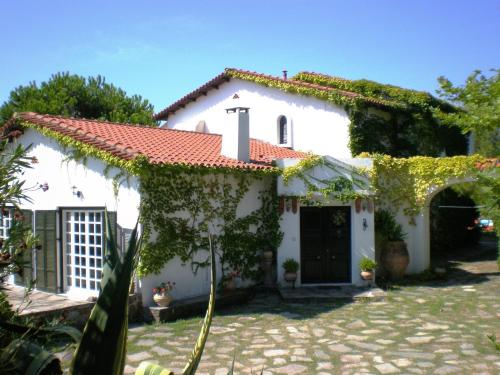 Villa Flores - image 6