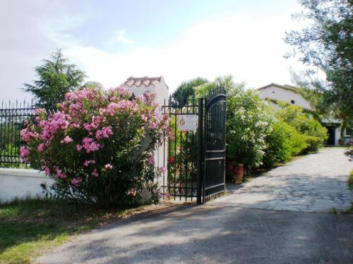 Villa Flores - main image