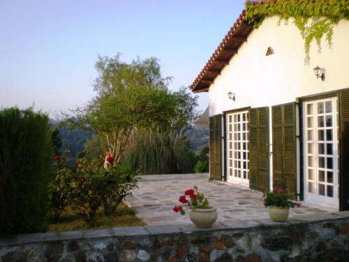 Villa Flores - image 4