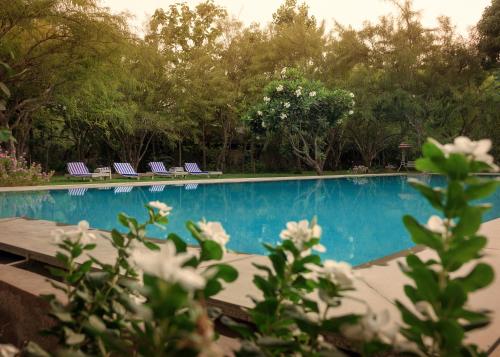 PushkarOrganic - Lux farm resort with pool