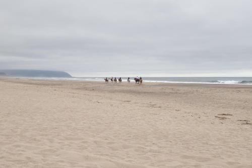 With Salt Please - Meredith Lodging - image 12
