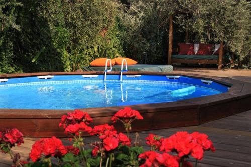 Swimming pool, Spa Chalets In Olive Grove in Eliad