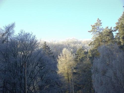 Waldgaststätte Sennhütte - image 10
