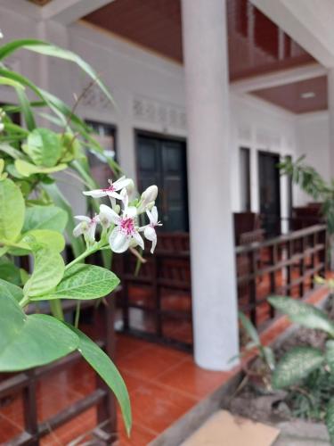 Banana Leaf Bungalows