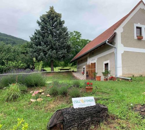 Balaton home with a majestic view