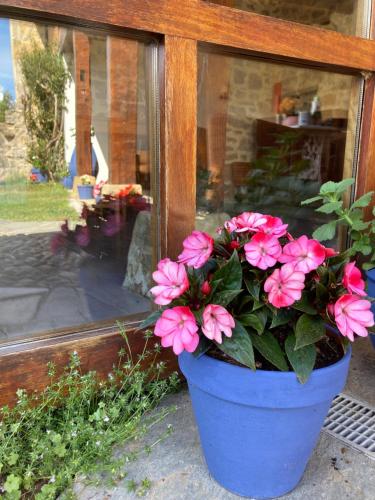 Posada La Casona de Los Güelitos