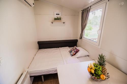 Mobile Homes with Thermal Riviera Tickets in Terme Čatež - image 2