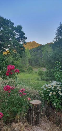 Cortijo de las cañadas