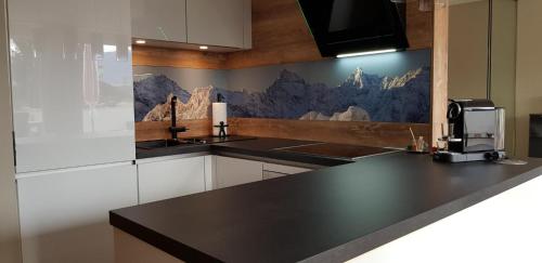 ALMI - Alpenglück Traumhafte Whg.m.20qm Dachterr., Oberstaufen (foto 8)