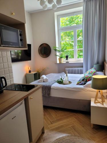 Movo Old Town Apartments Room Type - Standard King Room