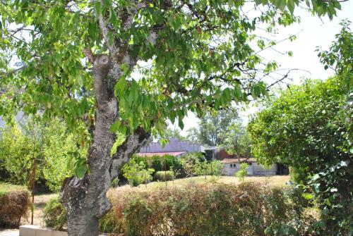 Maison 6 personnes - grand jardin arboré