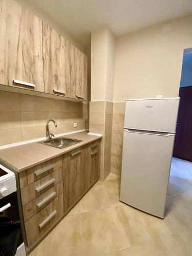 One-Bedroom Apartment image 10