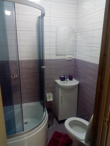 Good House in Slavs'ke