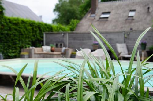 Swimming pool, Bed and Breakfast Bedstay op 8 in Coevorden