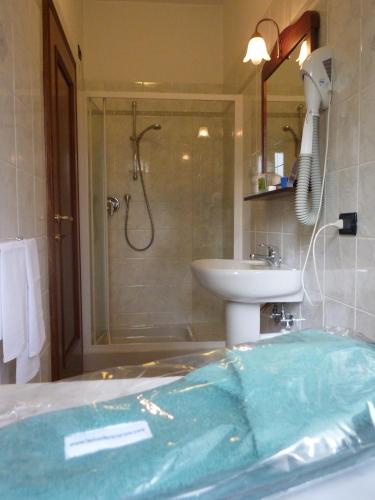 Hotel Belvedere, Torino (foto 4)