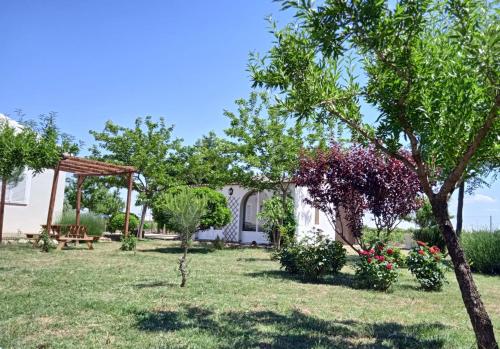 La Casita de los Almendros gîte à louer Las Pedroñeras