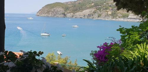 ALBA, Levanto (photo 3)