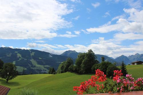 Mountain-View in Ramsau am Dachstein, Österreich