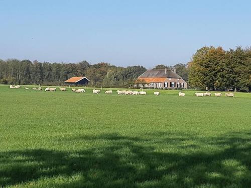  B&B Joostink in Vorden, Pension in Vorden bei Toldijk