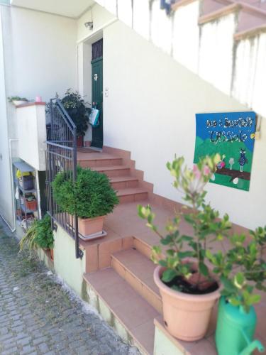 B&B LAssiolo